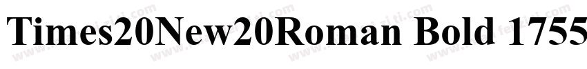 Times20New20Roman Bold 1755字体转换
